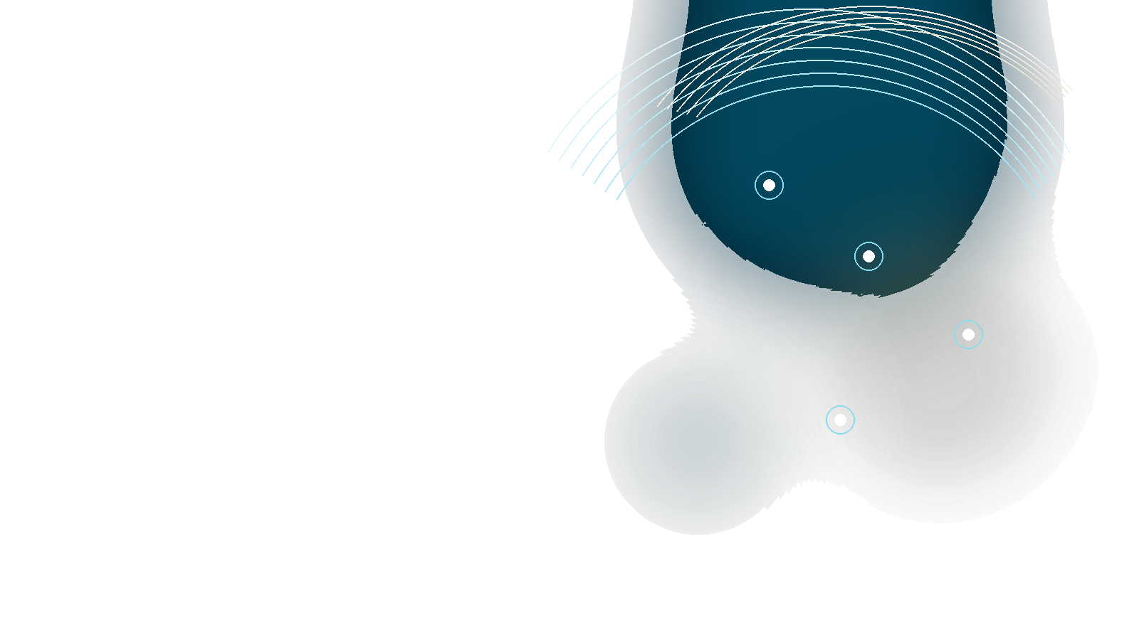 VEXYS Companies Network